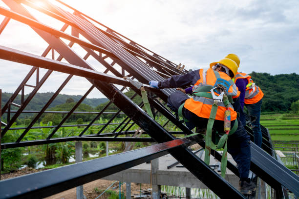 Professional Roofing Contractor in Piedmont, CA